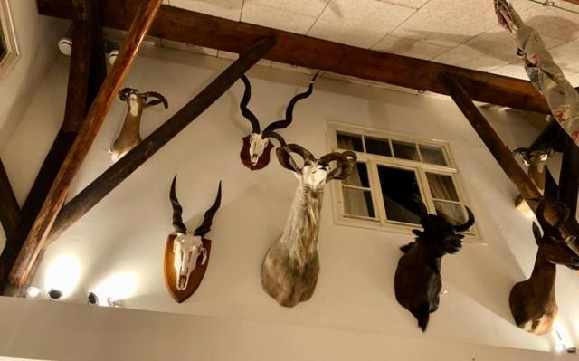 The Black Horse B&B & More ดราคเตน ภายนอก รูปภาพ